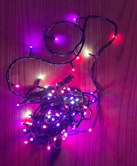 CORDÃO 2 CORES 100 LEDS COM ESTROBOS NA COR DOS LEDS